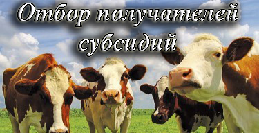 Горы