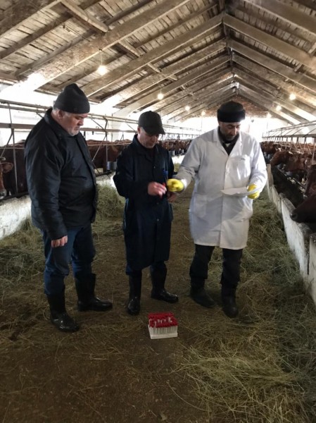 Начались весенние диагностические исследования