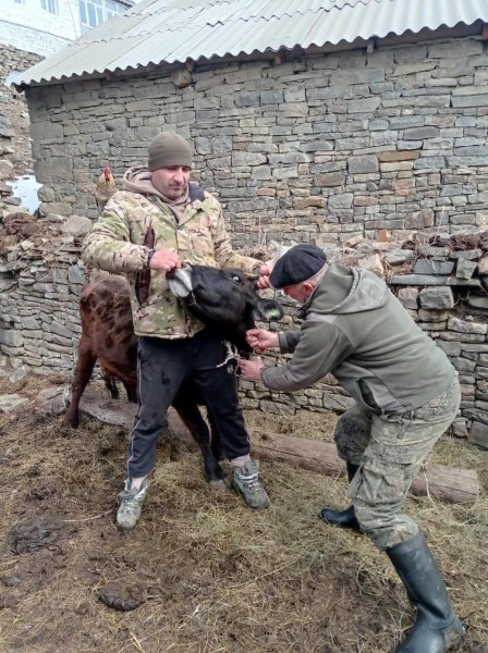 Ветеринарные мероприятия в Агульском районе