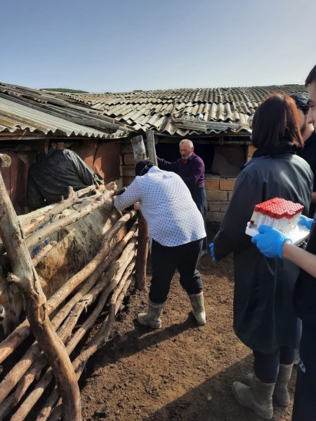 Ветеринарные мероприятия в Курахском районе