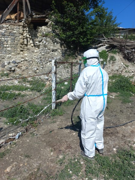 Дезинфекционные мероприятия в оздоровленных хозяйствах