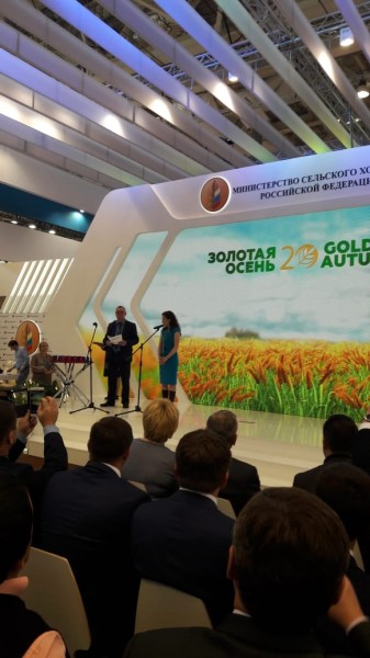 «Золотая осень - 2018»