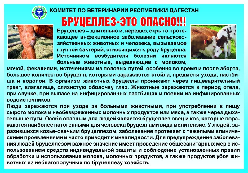 Агитационная работа