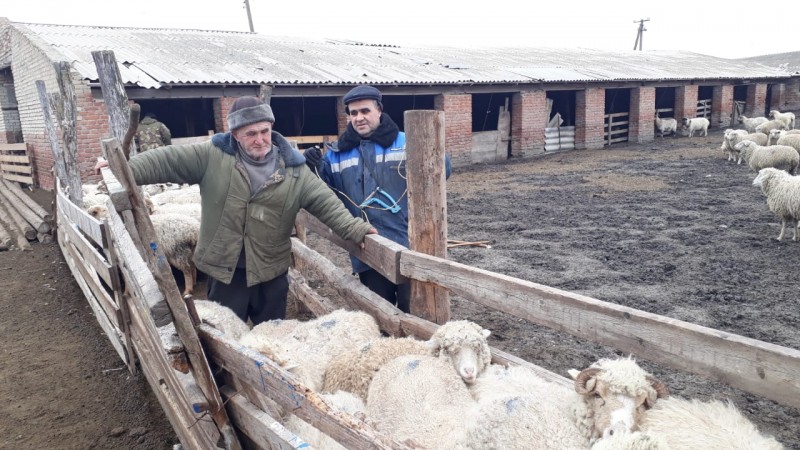 Плановые профилактические и диагностические мероприятия