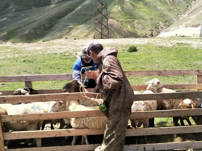Трудности на пути перегона