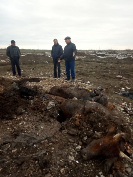 Контрольные мероприятия в селе Аксай