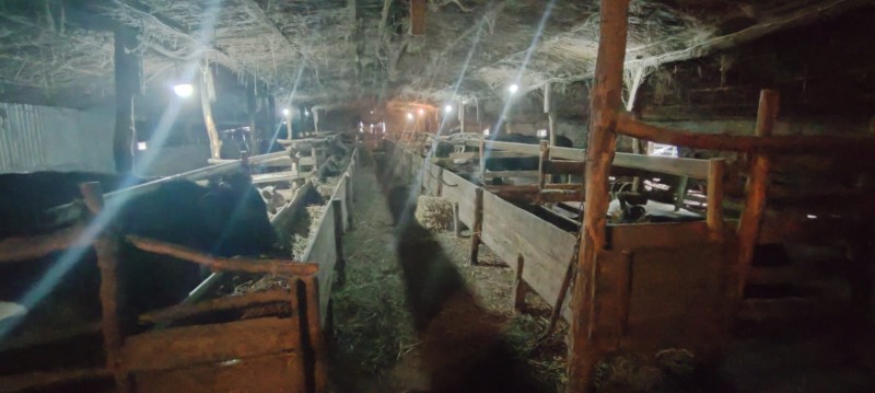 Мониторинговые мероприятия в Хасавюртовском районе