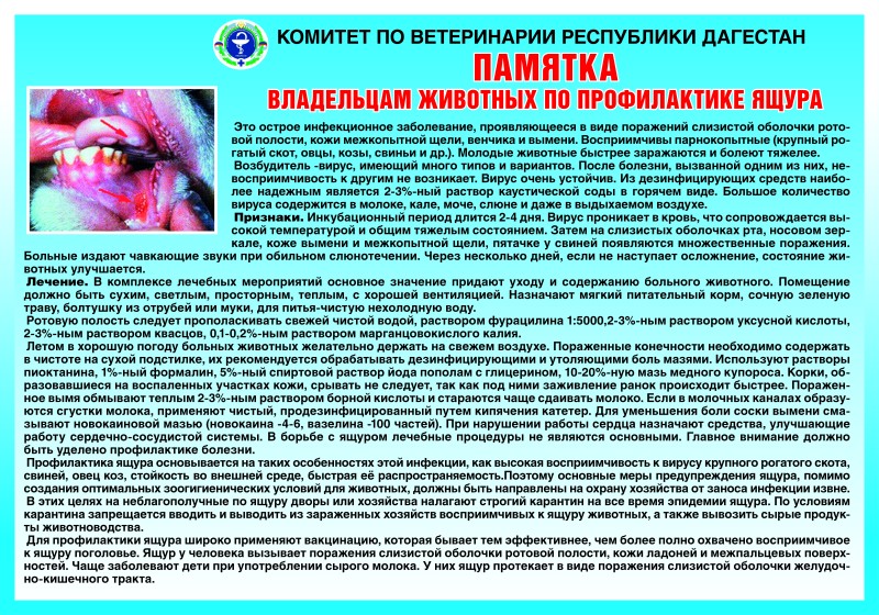 Агитационная работа
