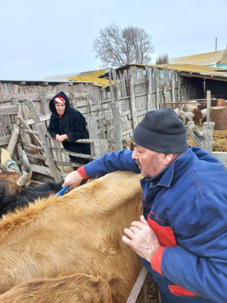 Ветеринарные мероприятия в хозяйствах Тарумовского района