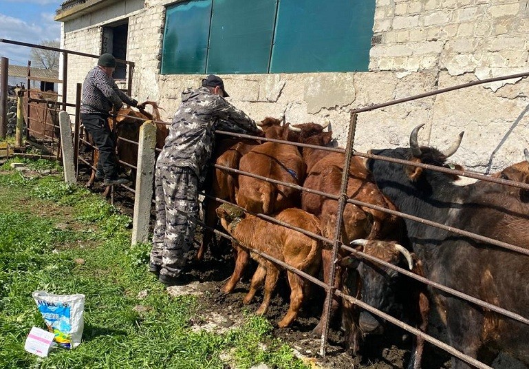 Весенние плановые мероприятия в хозяйствах Хунзахского района