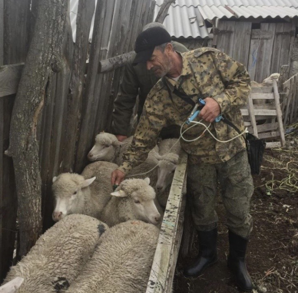 СПК «Акаро» Хунзахского района готово к зимовке