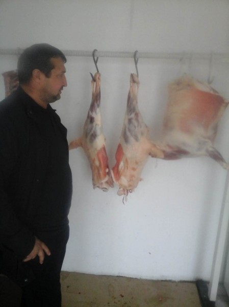 Контрольные мероприятия по электронной сертификации продукции животного происхождения
