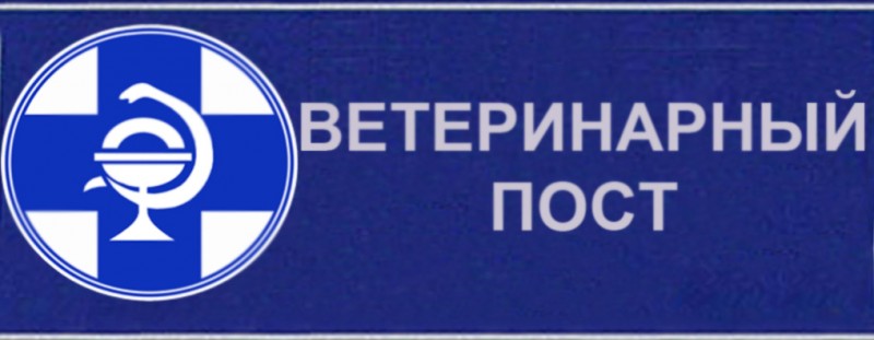 Работа ветеринарных постов