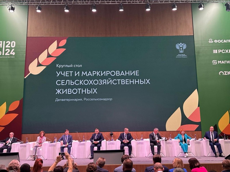 В Москве началась 26-я Российская агропромышленная выставка «Золотая осень – 2024»