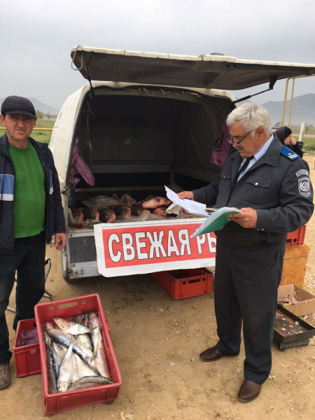 Контрольные мероприятия на Коркмаскалинской сельскохозяйственной ярмарке