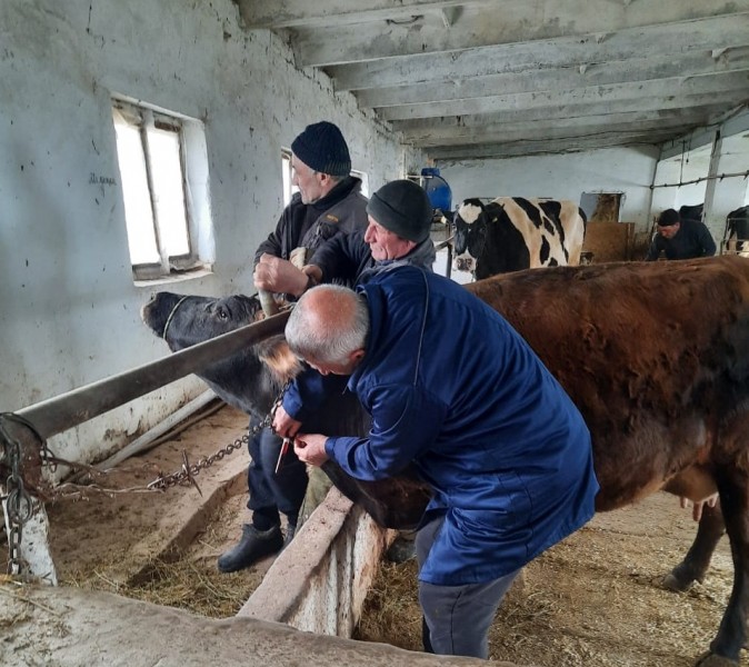 Будни ветеринарной службы Каспийска