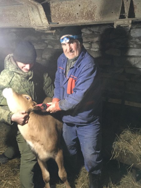 Ветеринарные мероприятия в Агульском районе