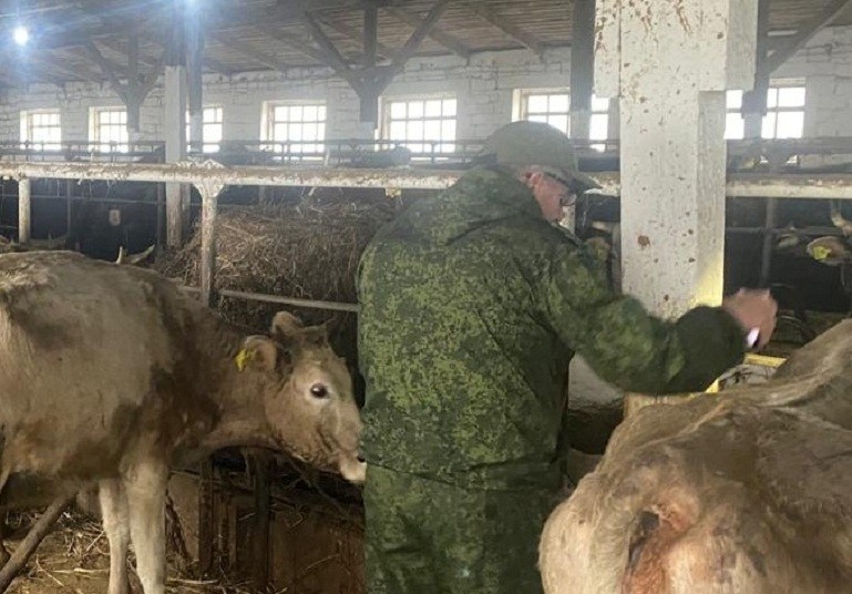 Весенние плановые мероприятия в хозяйствах Хунзахского района