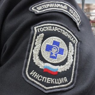 В деятельности зоомагазина выявлены нарушения