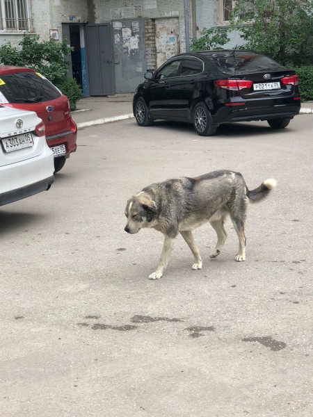 Мониторинговые мероприятия в Махачкале