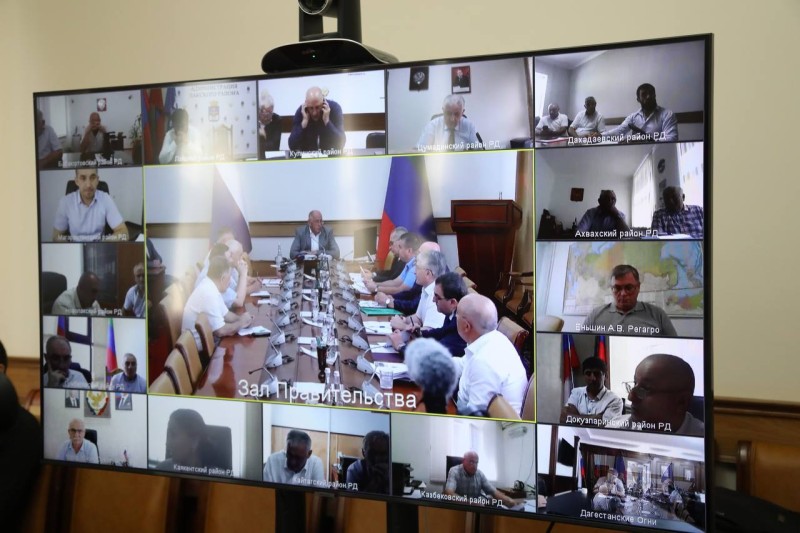 Обязательную маркировку сельскохозяйственных животных обсудили сегодня на совещании в Правительстве