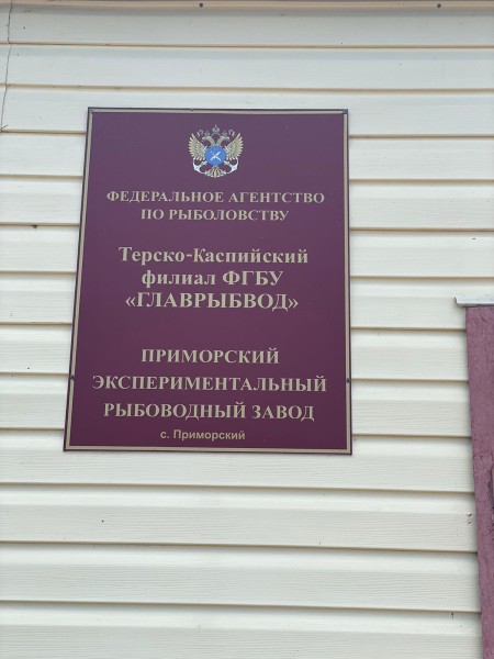 Консультативная помощь специалистов отдела по борьбе с болезнями рыб