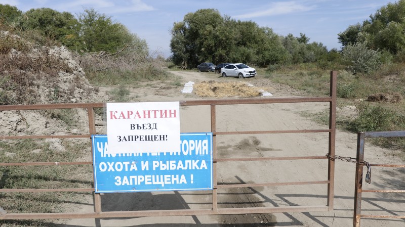 Учения по ликвидации условного очага оспы овец