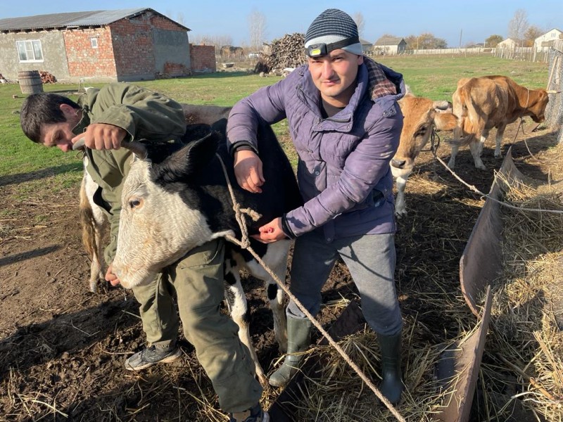 Осенние плановые ветеринарно-диагностические мероприятия