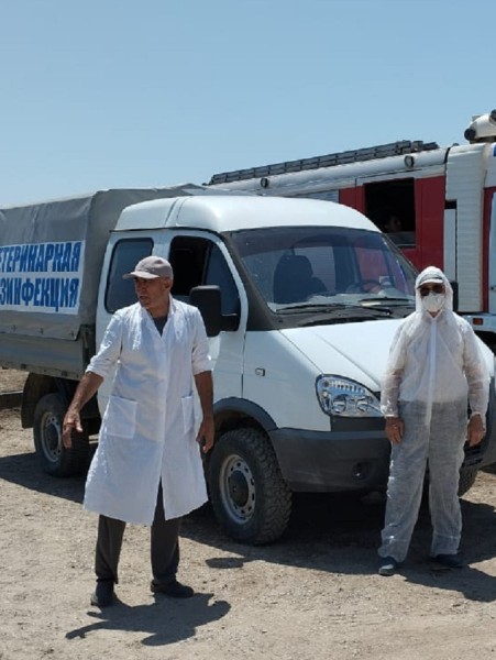 Дезинфекционные мероприятия в дни проведения «Курбан-байрам»