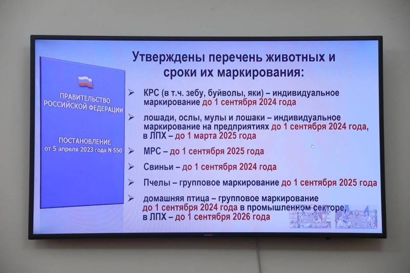 Обязательную маркировку сельскохозяйственных животных обсудили сегодня на совещании в Правительстве