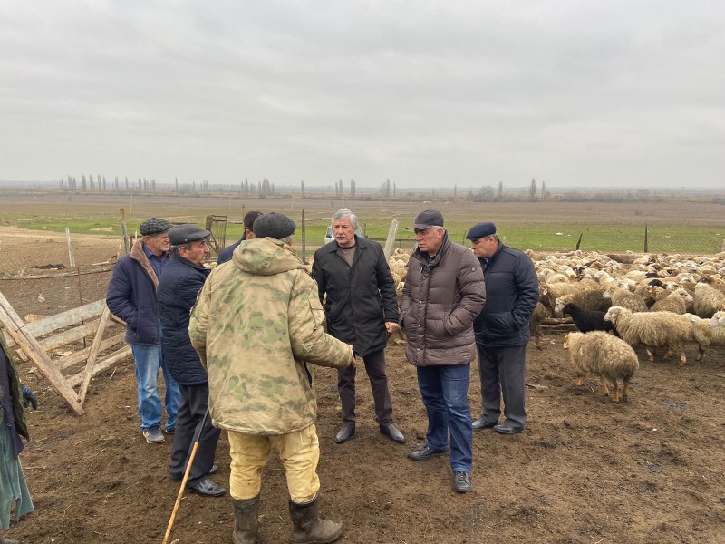 Рабочая поездка в Дербентский район