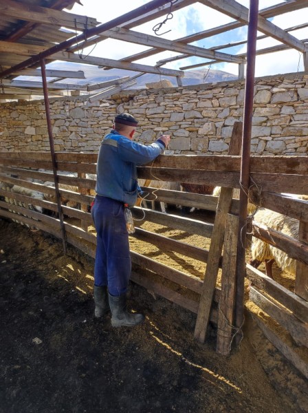 Осенние ветеринарные мероприятия в районах республики