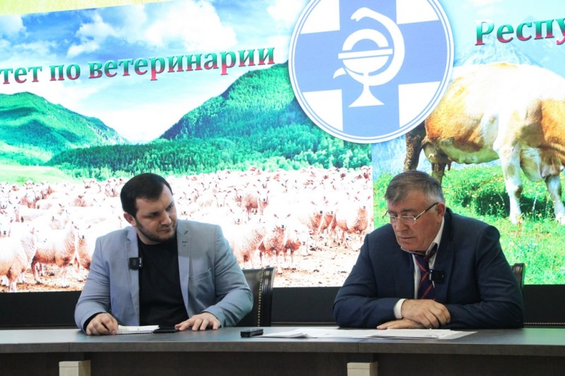 Приюты для бездомных собак появятся в пяти городах и трех районах Дагестана