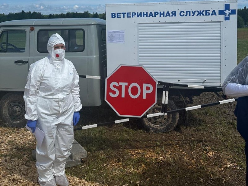 В Вологодской области прошли международные учения по борьбе с болезнями животных