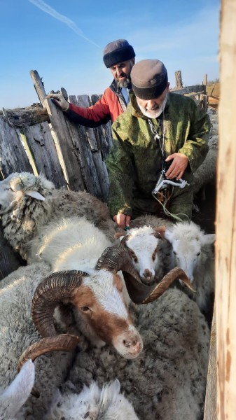 Ветеринарные мероприятия в Гумбетовском районе
