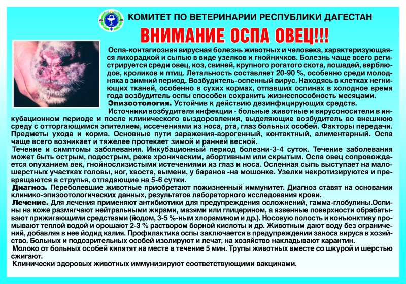 Агитационная работа