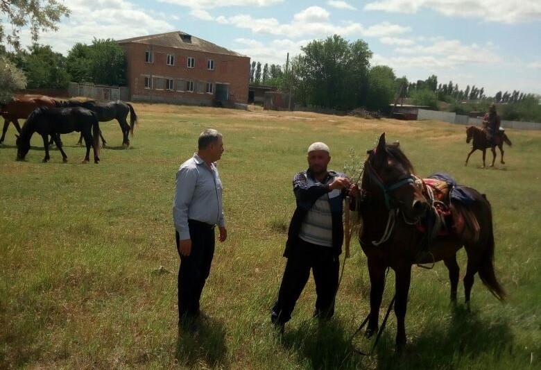 Нарушение требований ветеринарного законодательства при перегоне лошадей