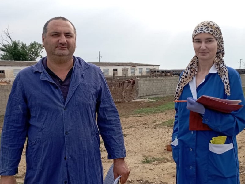 Ветеринарно-профилактические мероприятия в хозяйствах отгонного животноводства Кизилюртовского района