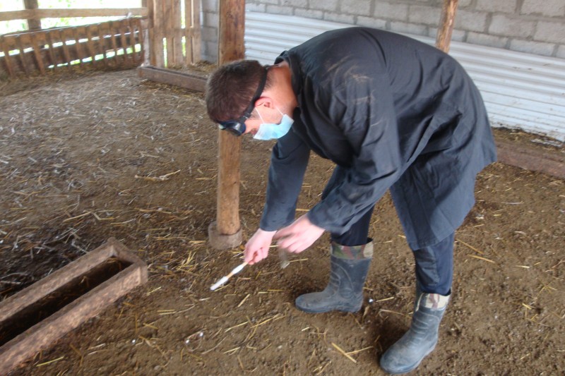 Вынужденные дезинфекционные мероприятия в неблагополучных пунктах