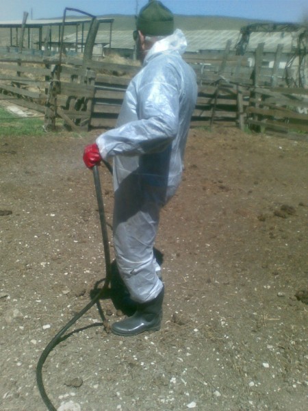 Вынужденные дезинфекционные мероприятия в неблагополучных пунктах