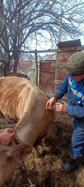 В Гунибском районе обсудили эпизоотическую ситуацию