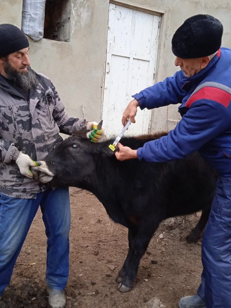 В Унцукульском районе завершаются плановые мероприятия