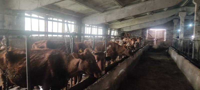 Карантинные мероприятия в Бабаюртовской зоне отгонного животноводства