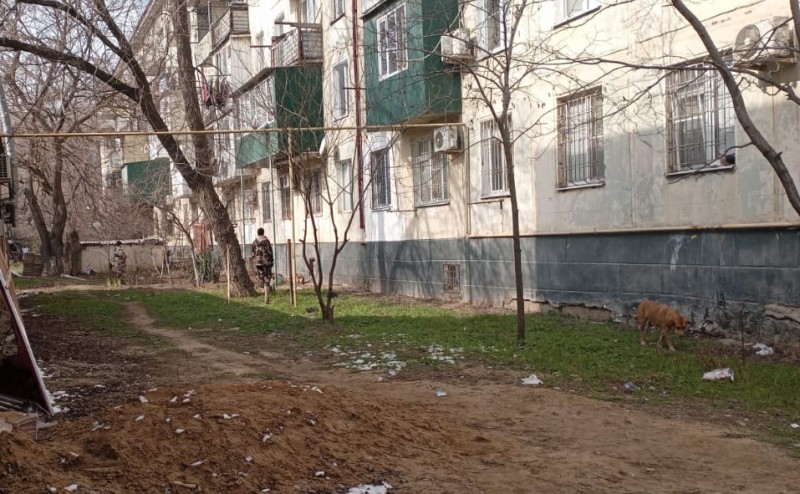 В Каспийске проводятся мероприятия в отношении животных без владельцев