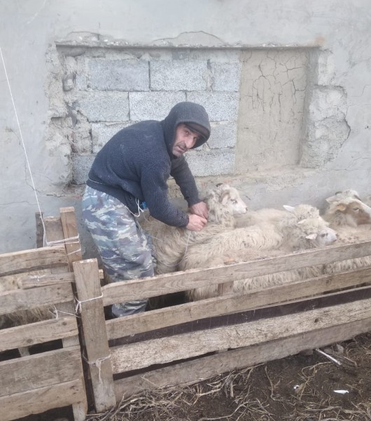 Ветеринарные мероприятия в Гумбетовском районе