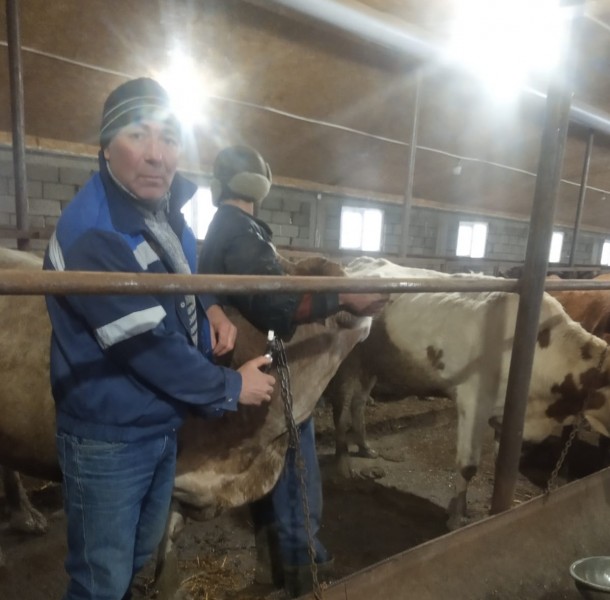 Ветеринарные мероприятия в Сулейман-Стальском районе