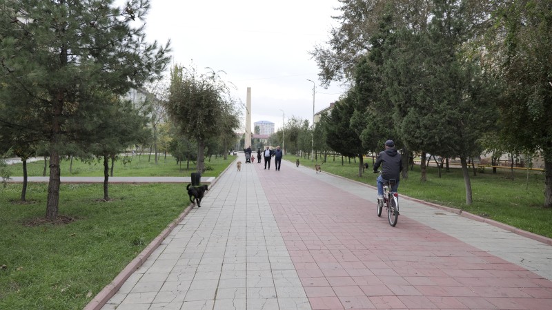 В Каспийске проведены мероприятия по отлову животных без владельцев