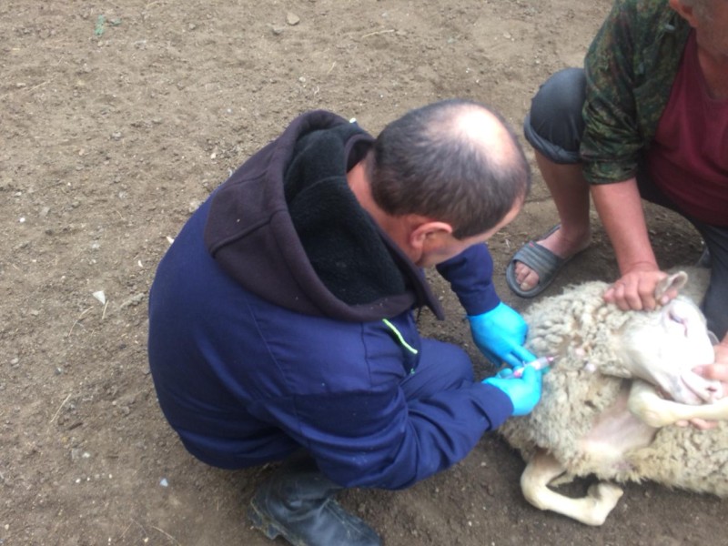Диагностические мероприятия в Дахадаевском районе