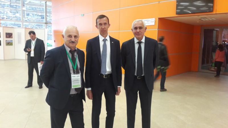 «Золотая осень - 2018»