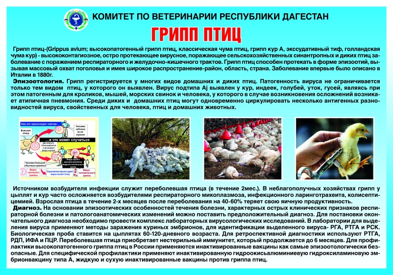 Агитационная работа